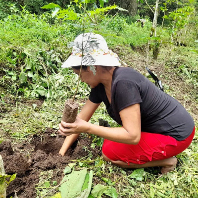 Café Honduras Alegria La Paz 100%  arabica