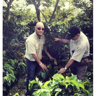 Café Nicaragua El Ciprès 100% Arabica