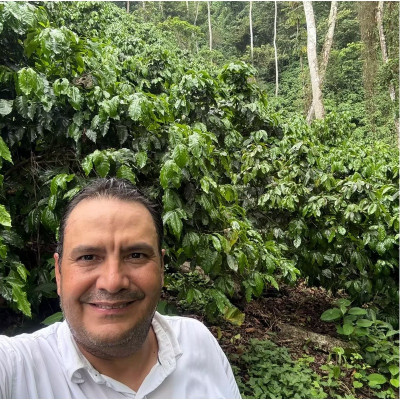 Café Mexique Finca Union 100% arabica