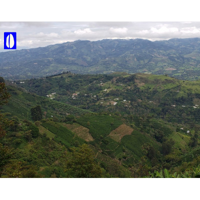 copy of Colombie  - Tierra Prometida 250 gr - Expresso