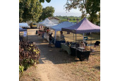 05/ Saint-Emilion - marché  saisonnier de producteurs